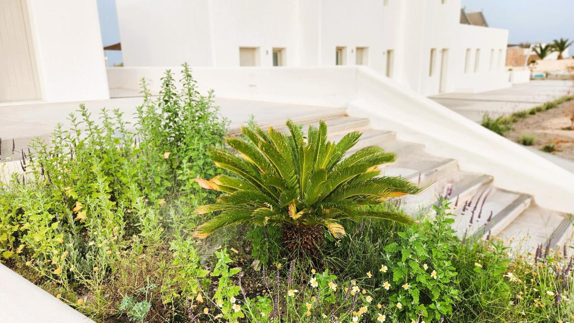 Hayal Suites Santorini Emporio  Exterior foto